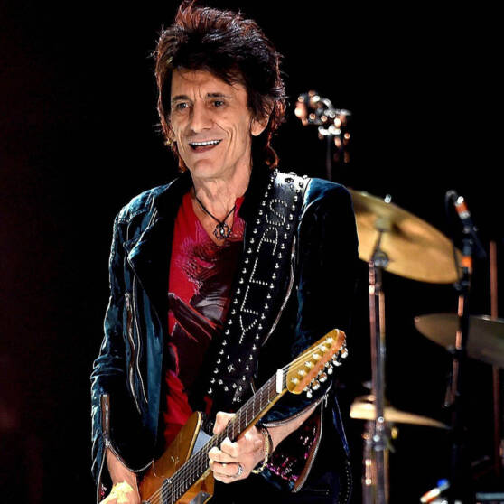 Ron Wood Stompbox Book